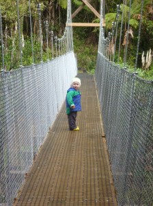 Bridge on track to Waitawheta Hut