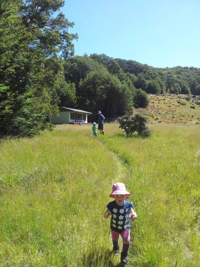 16106815_10154069742320178_661746236_o